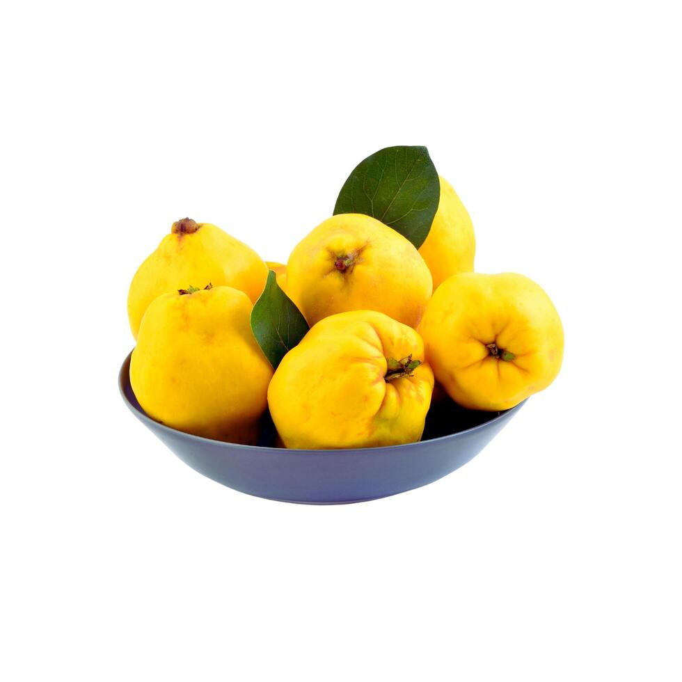 Ripe quince fruits with leaf and slice isolated photo