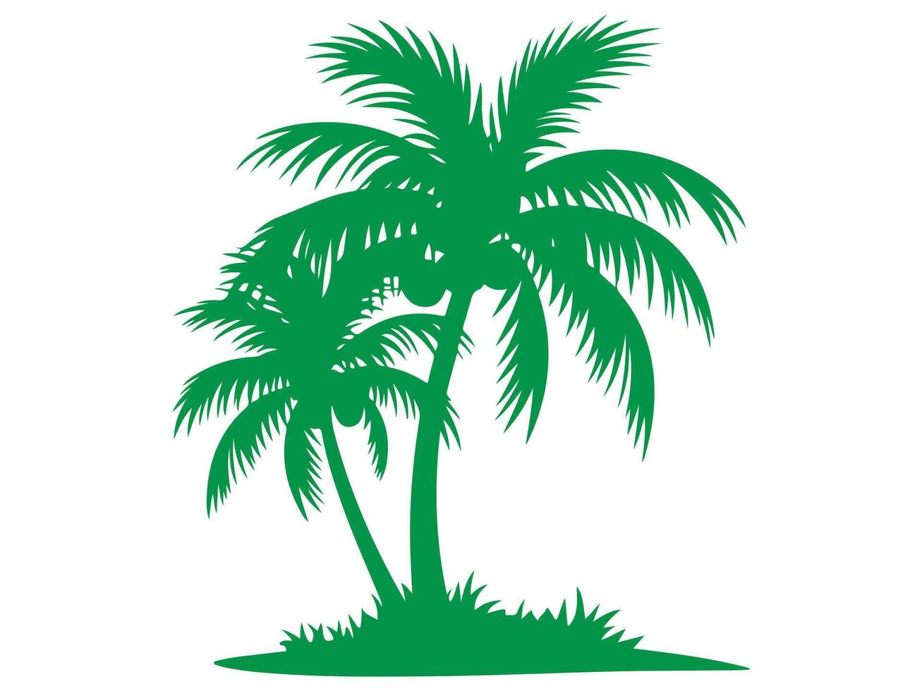 plam tree illustration vector
