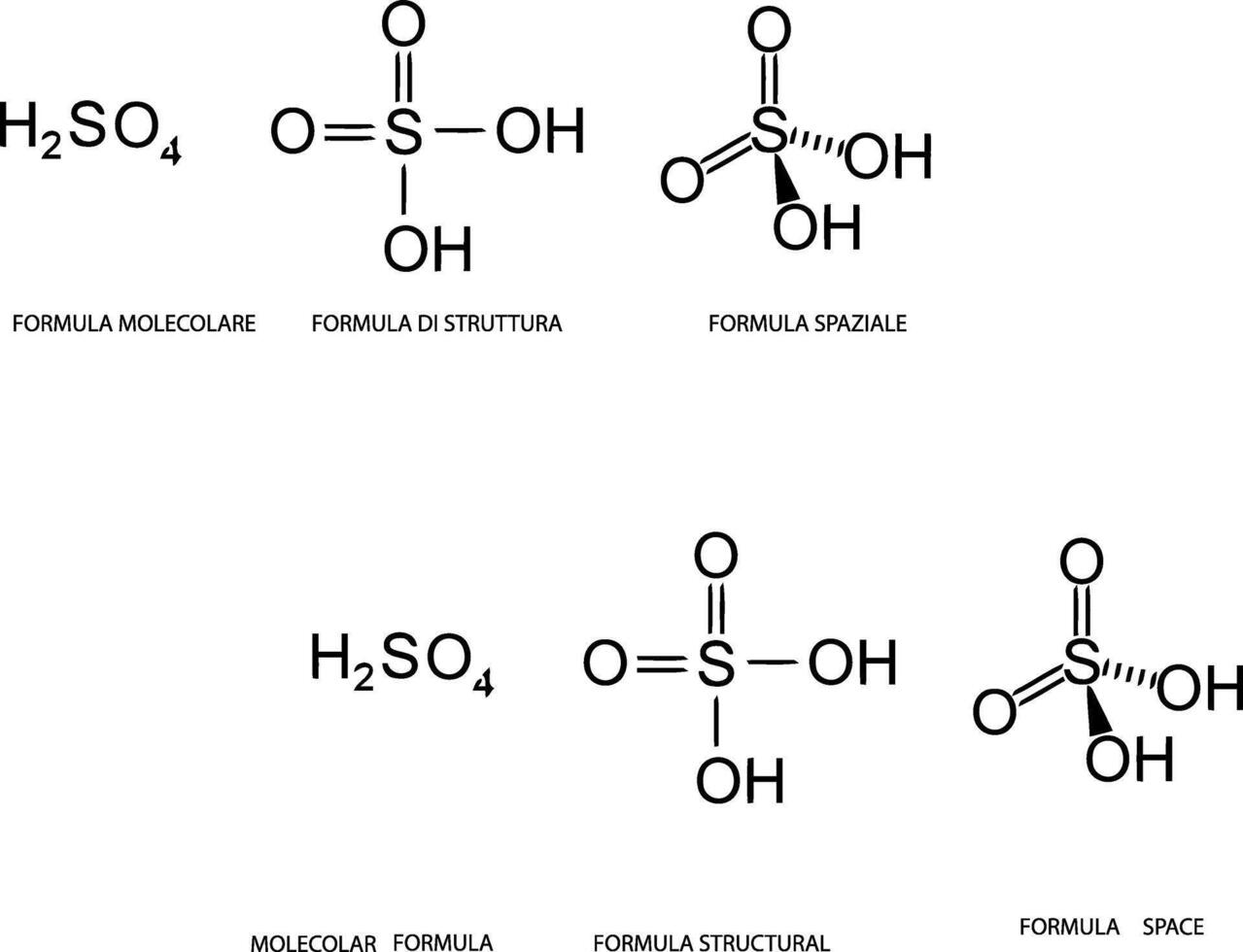 The structure of a molecule with different types of molecules vector