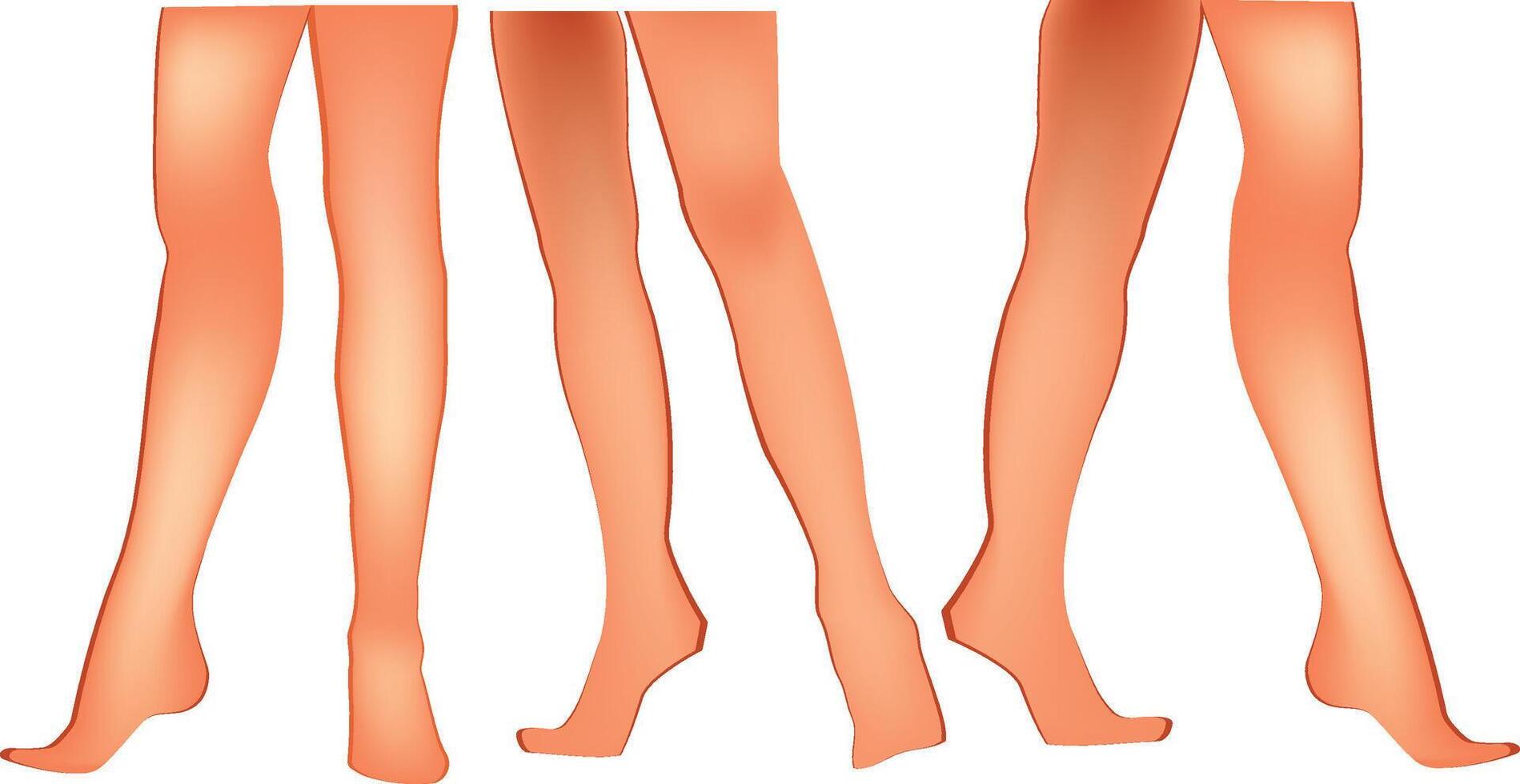 Three different types of legs in different poses vector