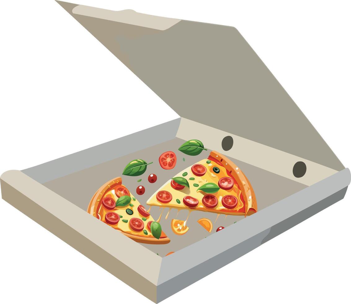 Pizza in a box vector