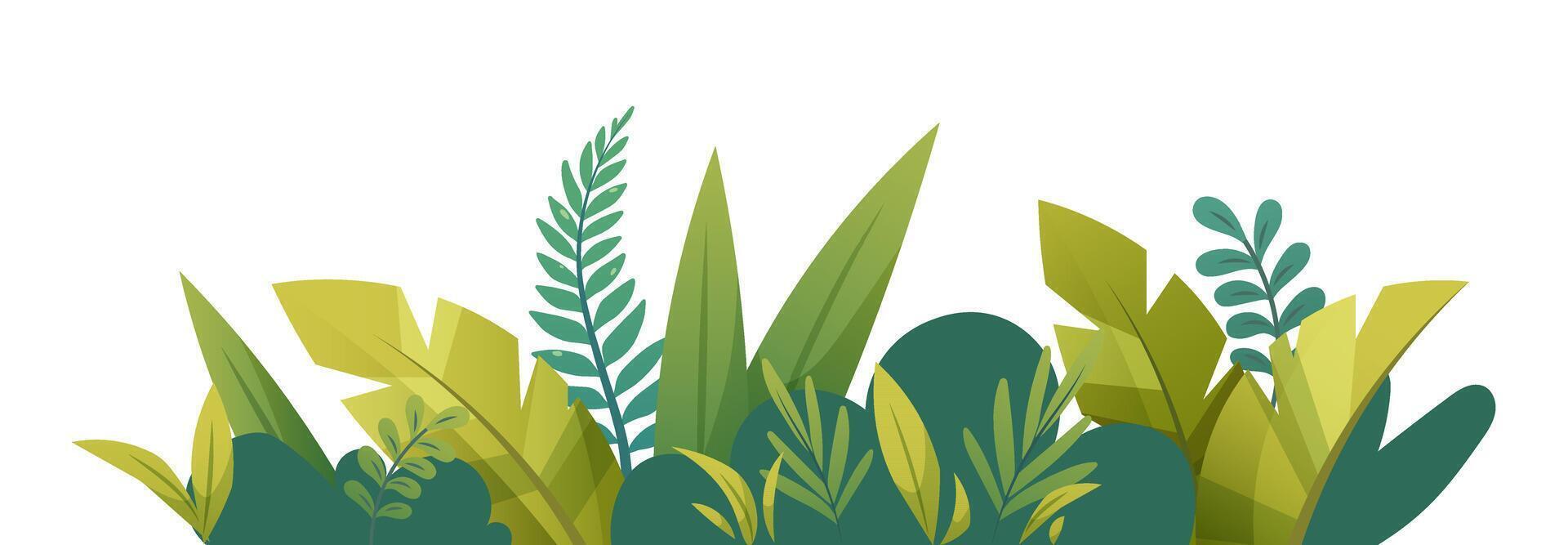 Cartoon tropical bush. Drawing tropical branches, plants and ferns on white background. isolated element vector