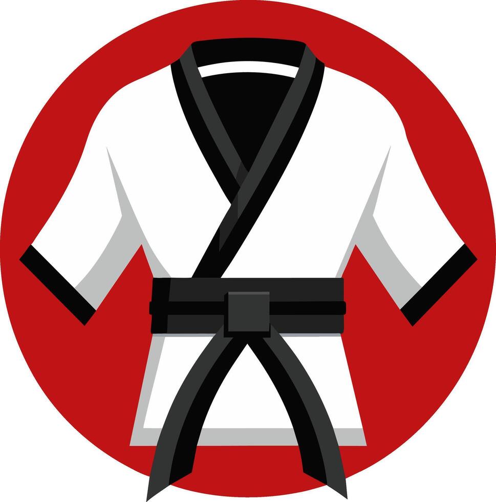 A black belt with a white kimono vector
