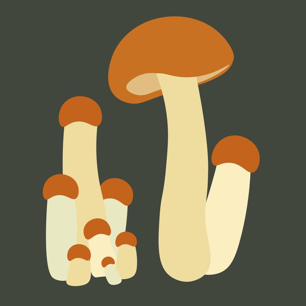 small forest mushrooms illustration set vector