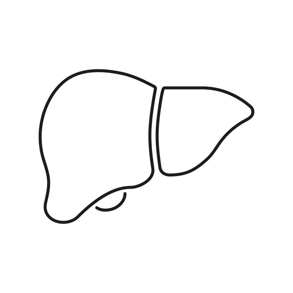 Liver Line Icon. Anatomy of Human Internal Organ Outline Symbol. Hepatic System Sign. Editable Stroke. Isolated Illustration vector