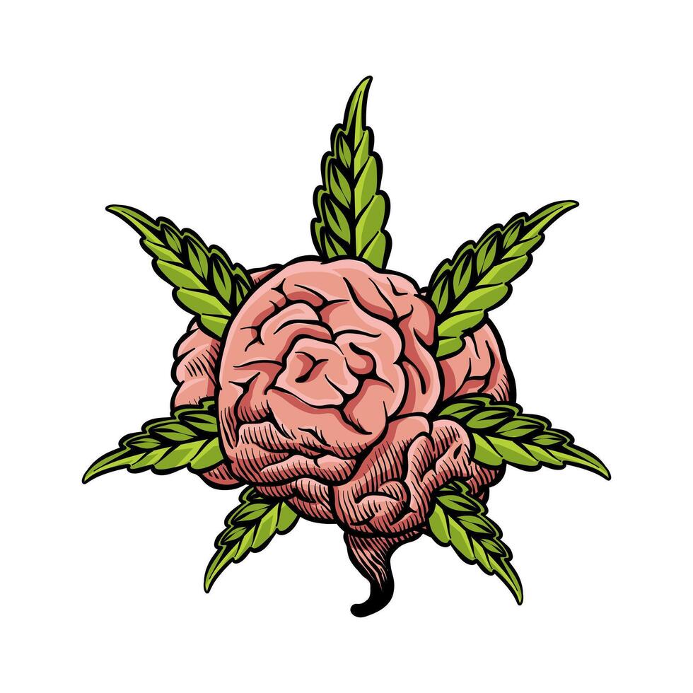 illustration of a brain with marijuana leaves vector