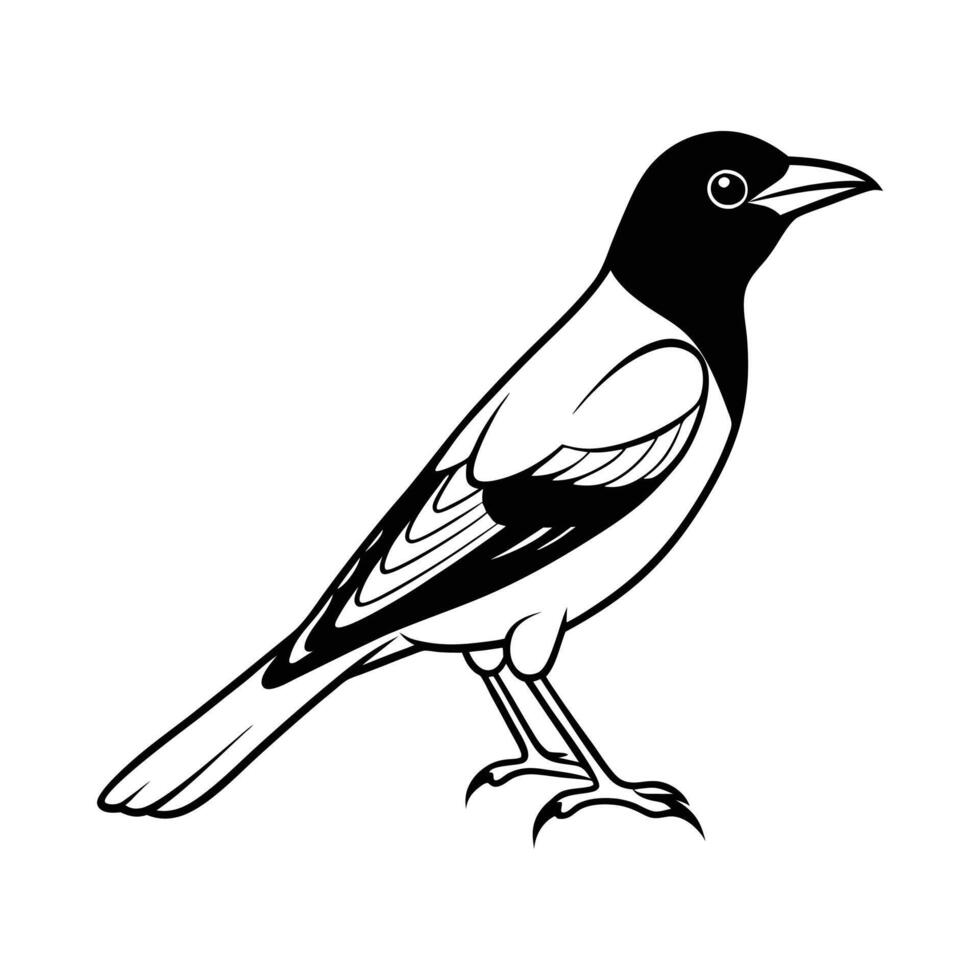 Bird Silhouette design vector