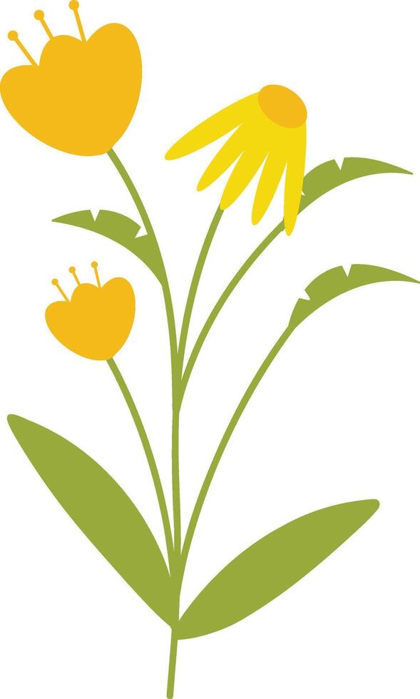 Spring Flower Illustration with Yellow Color. vector