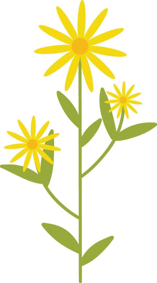 Spring Flower Illustration with Yellow Color. vector