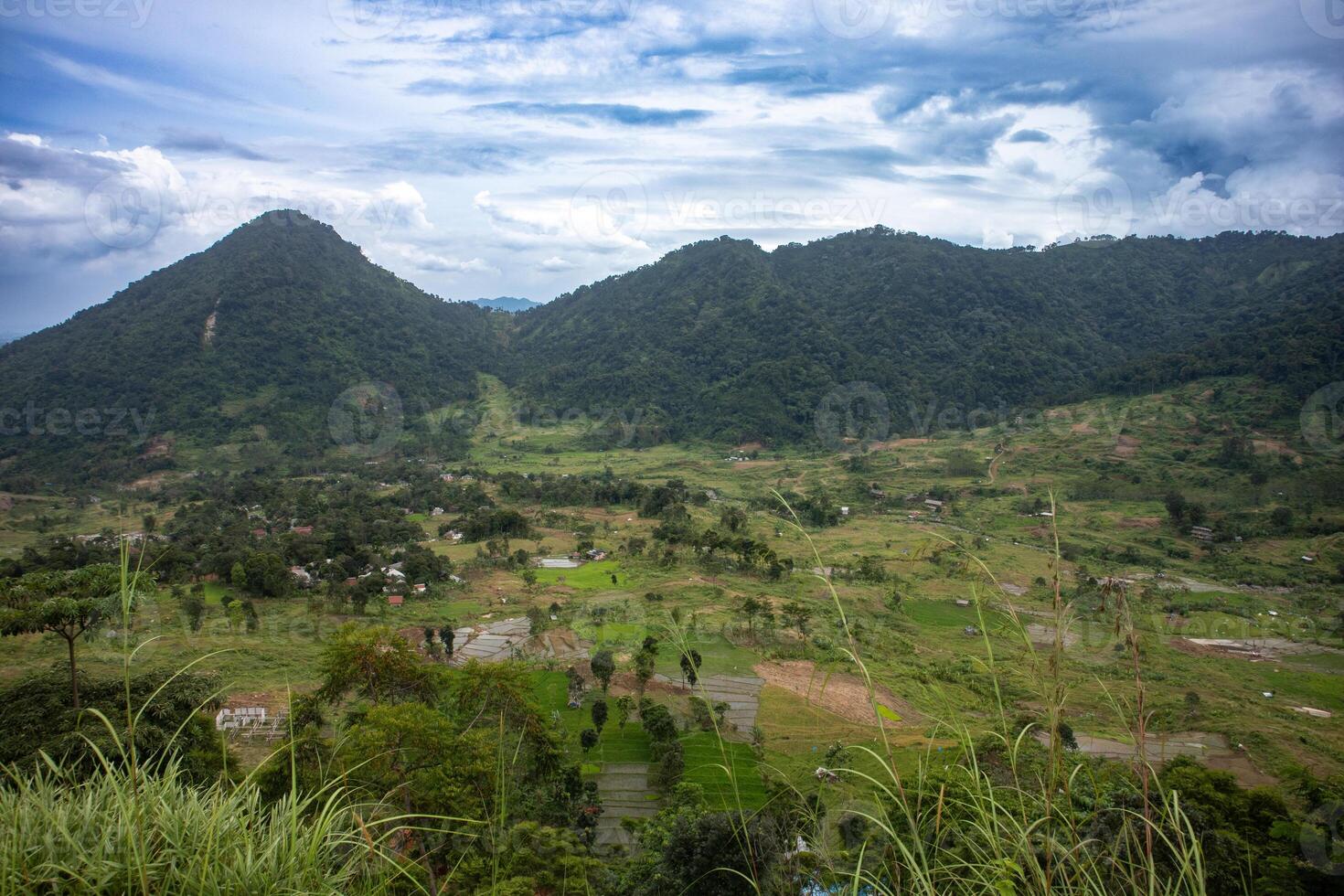 Mountain View and Green Fields. photo