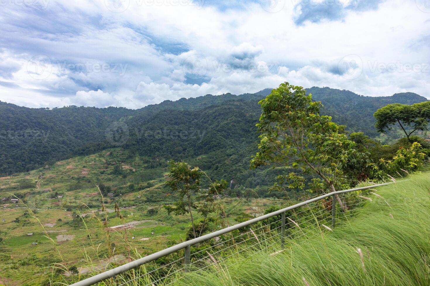 Mountain View from Grass Field. photo