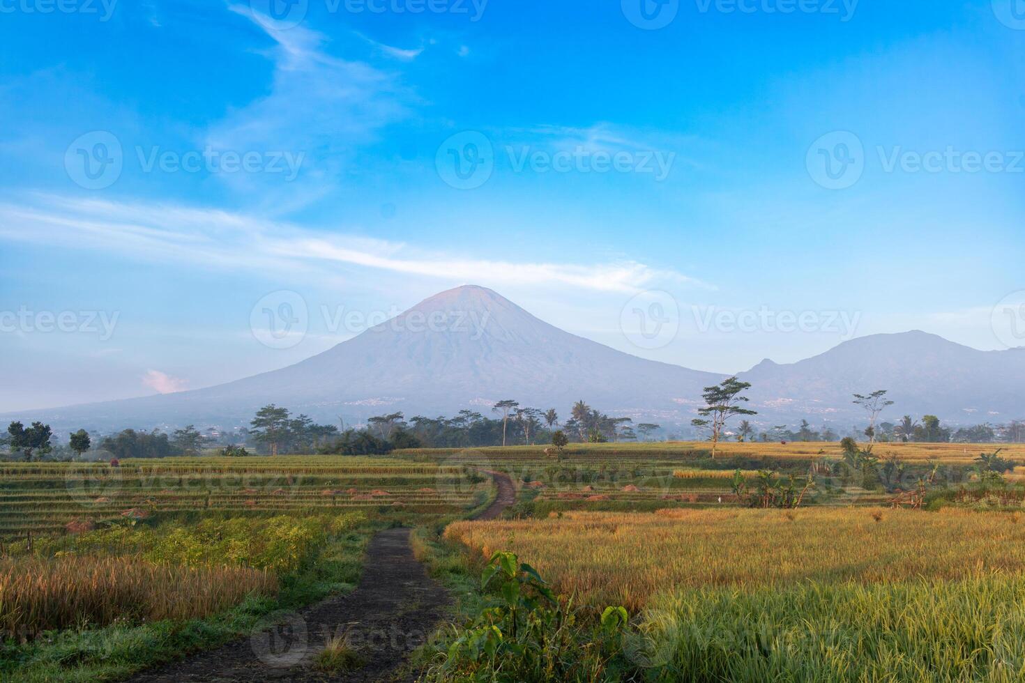 Mountain View from Rice Fields photo