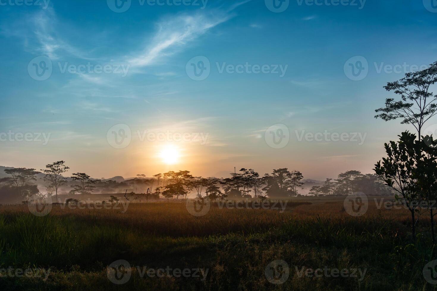 Sunrise in Rural Field with Trees photo