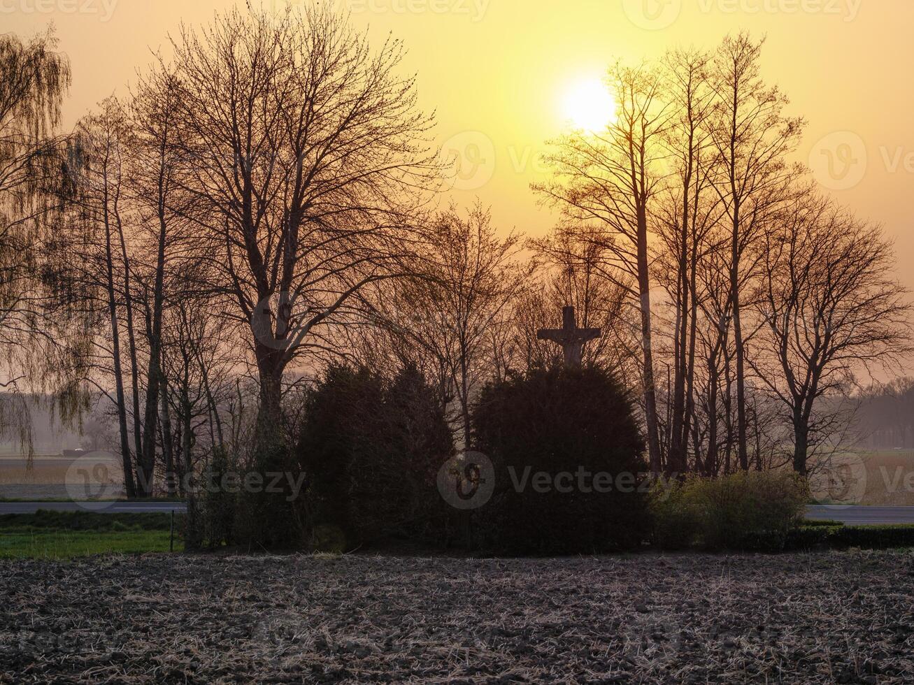 A field with trees and a sun setting behind them photo