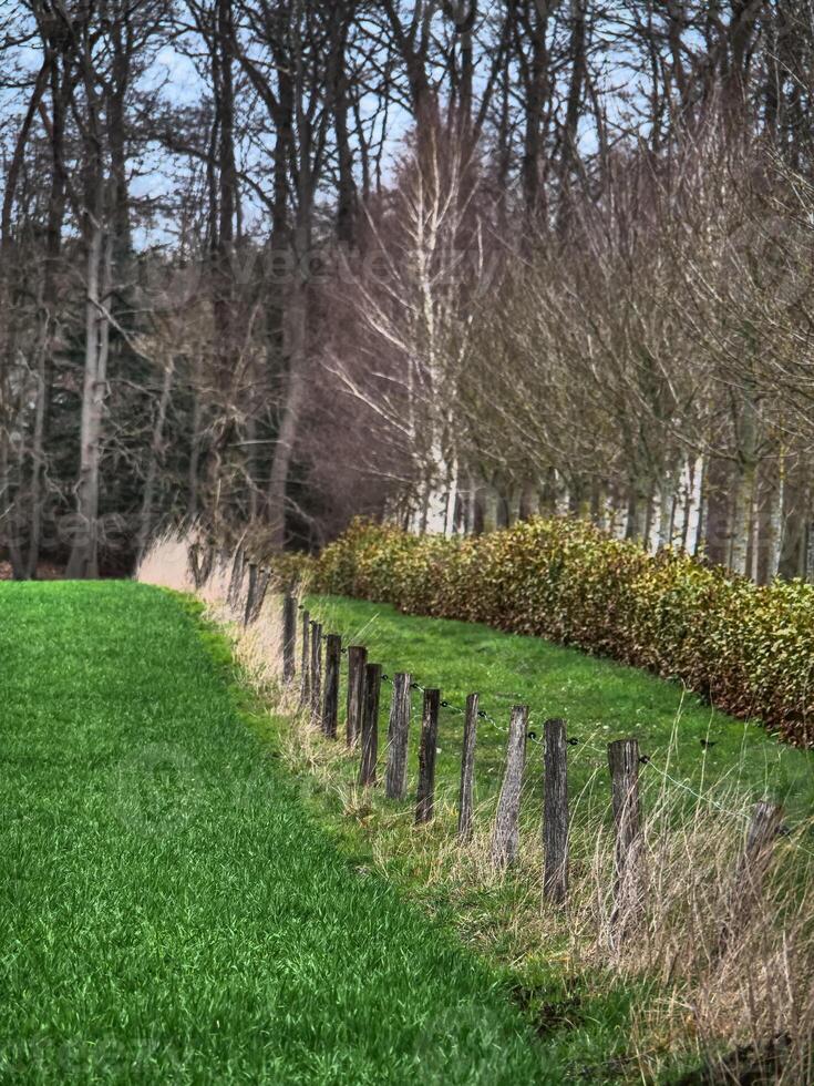A field with a fence and trees in the background photo