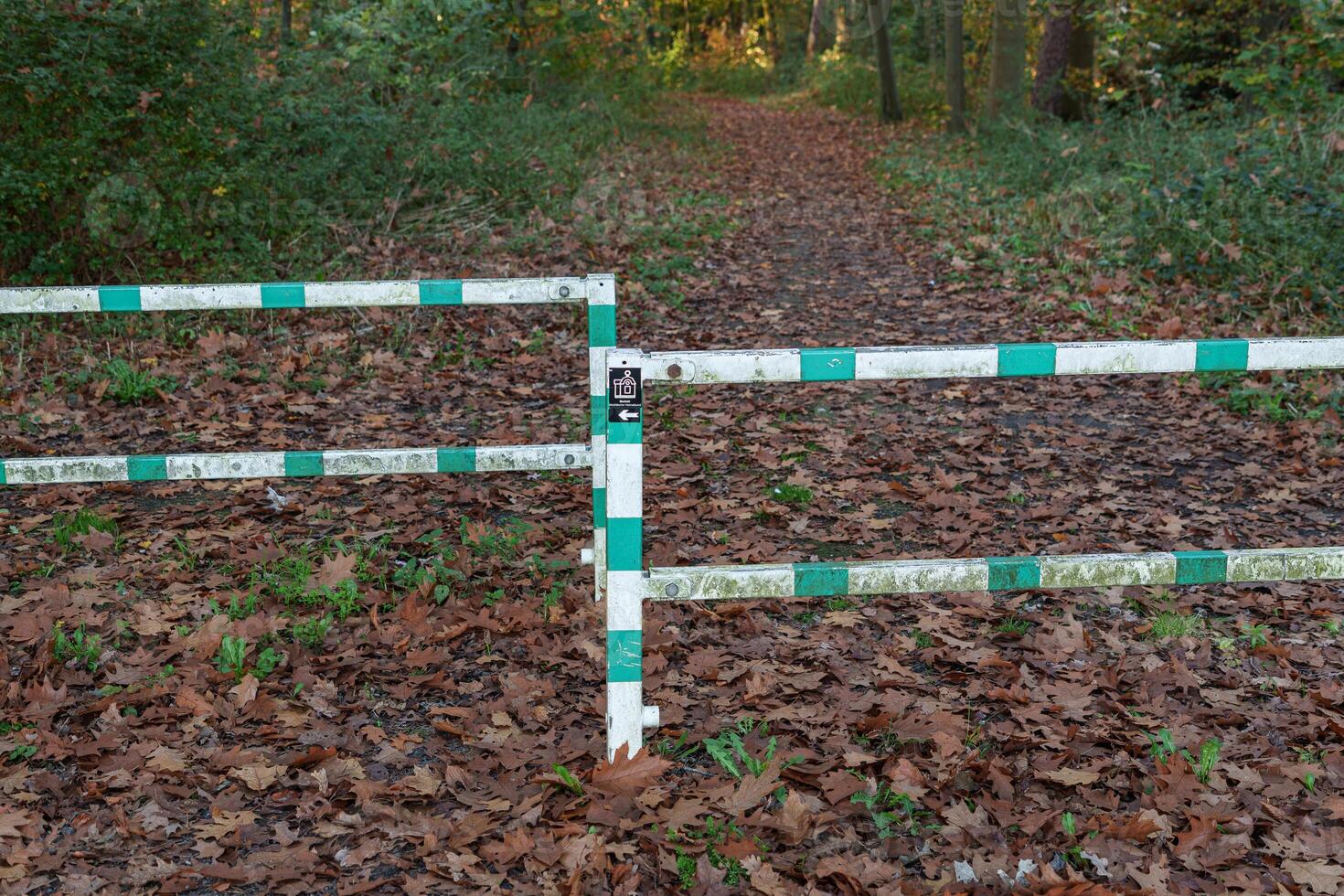 A path with a fence in the middle of it photo