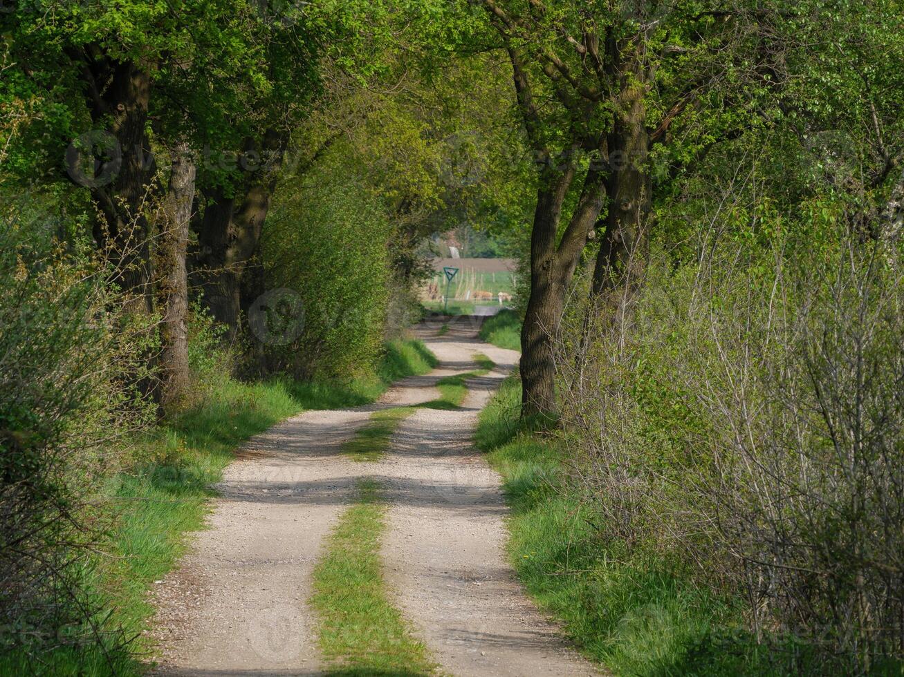 A dirt road with a sign on it photo