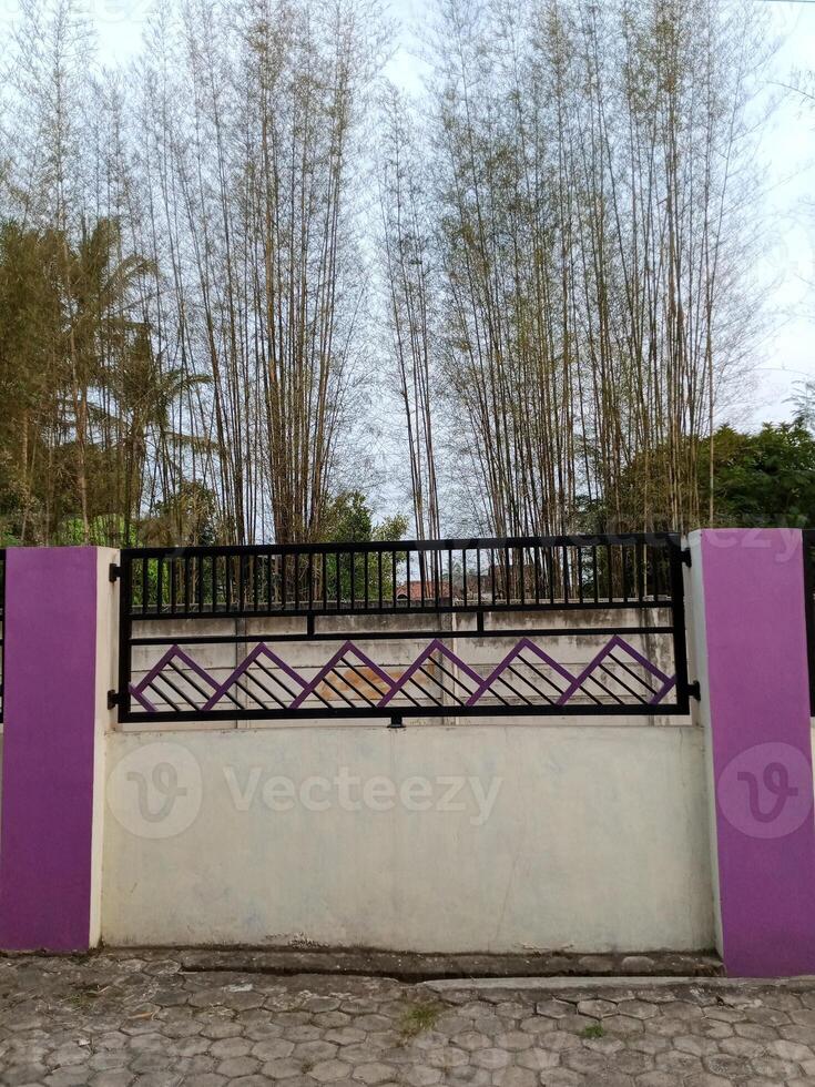 A modern fence with a purple accent wall and pillars. The fence features a geometric design and is situated in front of a bamboo grove. photo