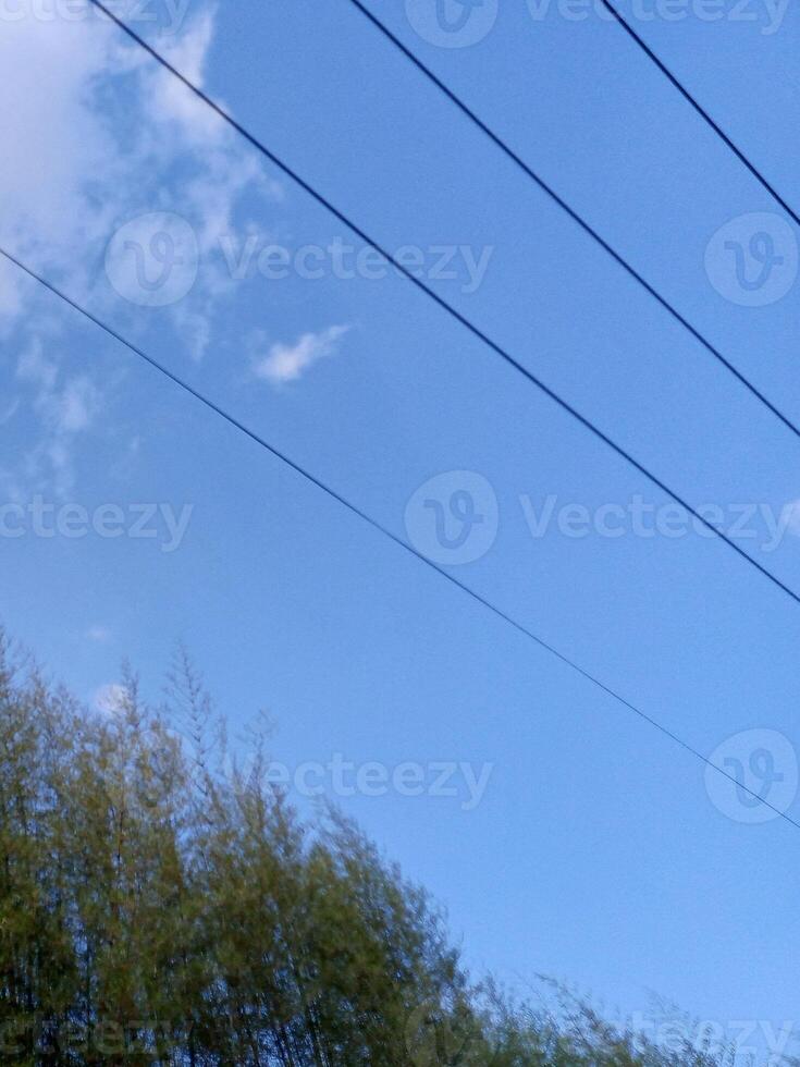 A blue sky with white clouds and power lines above a green bamboo forest. photo