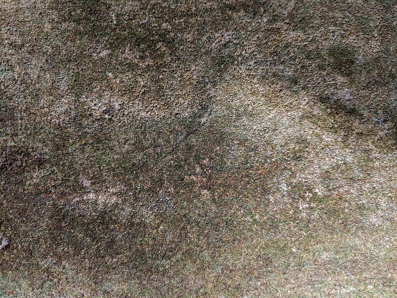 Close-up of a moss-covered surface, showcasing a rich, earthy texture with shades of green and brown, ideal for backgrounds and nature-inspired designs. photo