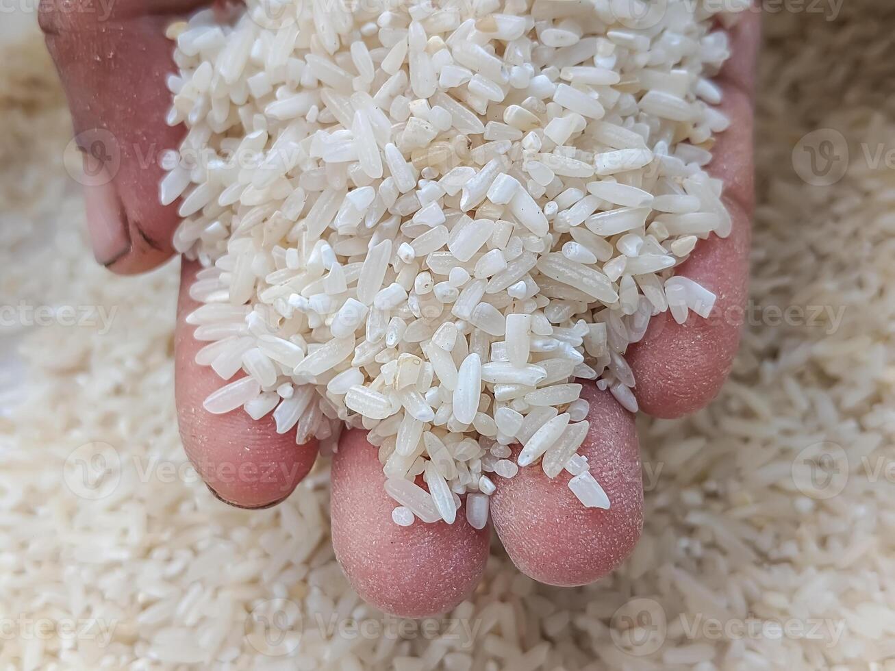 Close-up of hands cradling raw rice grains, emphasizing the natural quality and abundance of this staple food, perfect for agricultural and food-related themes. photo