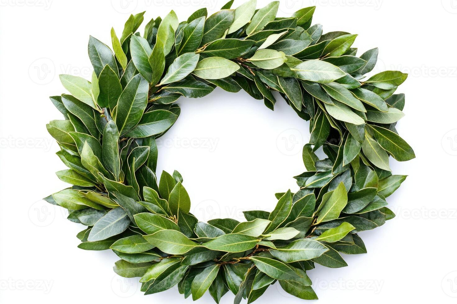 Laurel wreath forming a circle on a white background photo