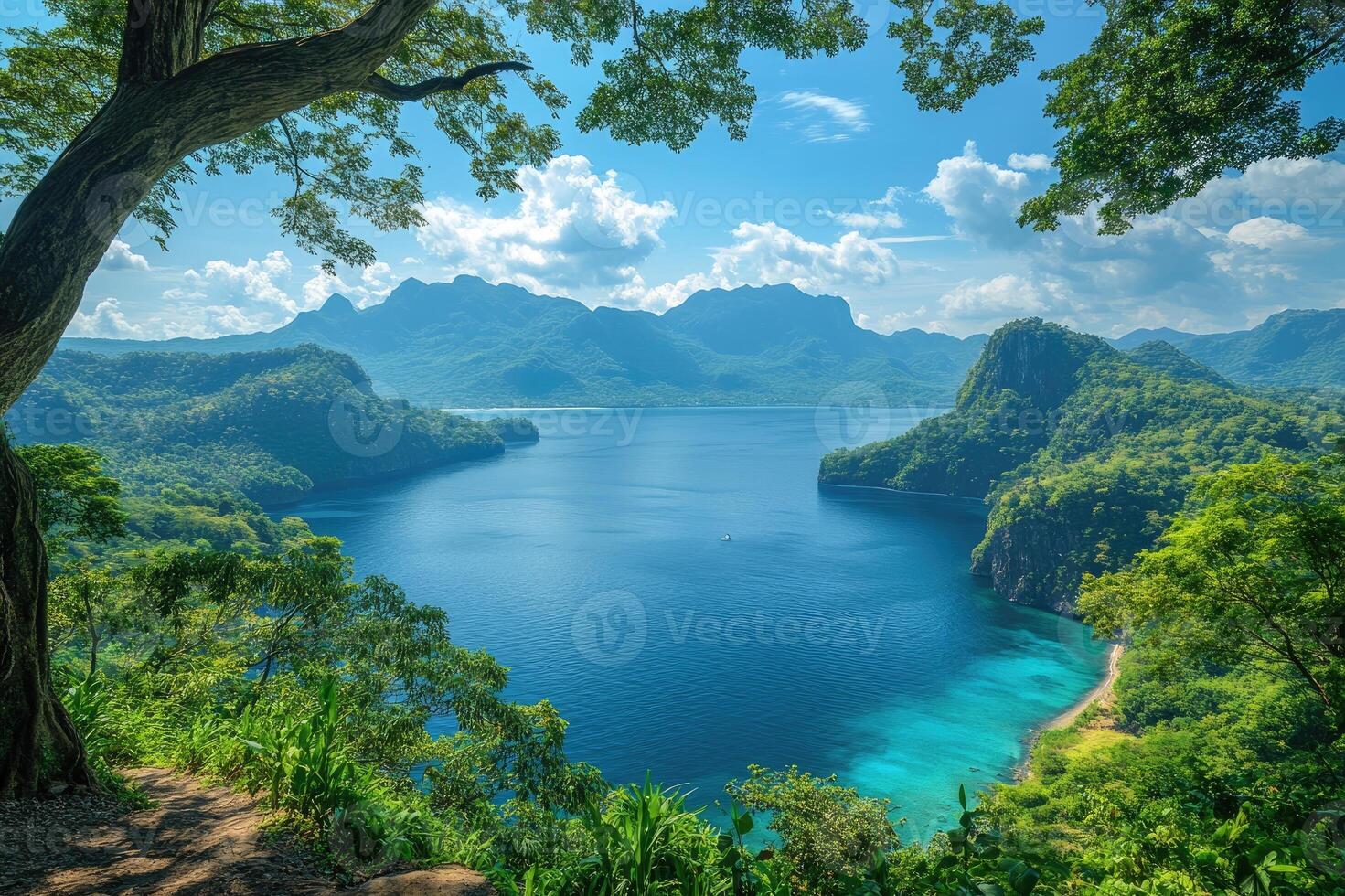 Coron island in palawan, philippines, shows breathtaking tropical scenery overlooking a beautiful bay photo