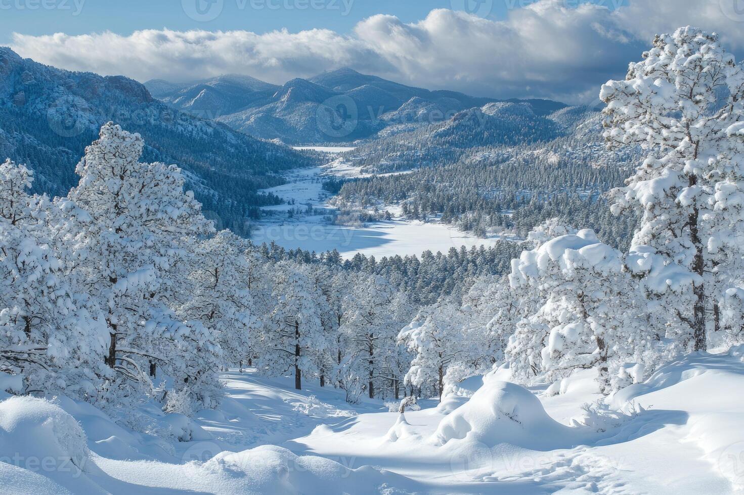 Snowy pines overlooking frozen valley in colorado mountains winter wonderland photo