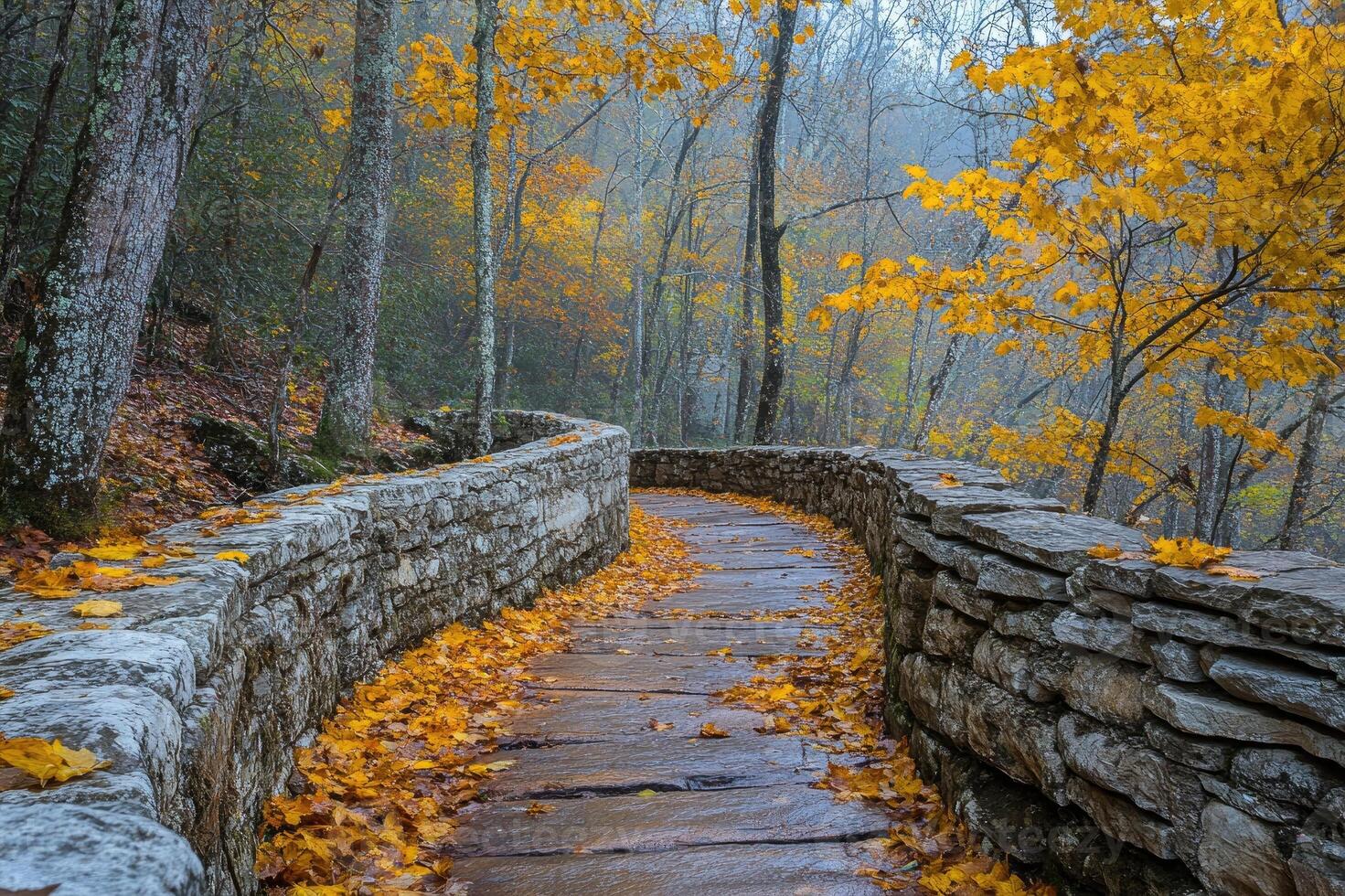 Stone paved winding path covered with fallen autumn leaves in the woods photo