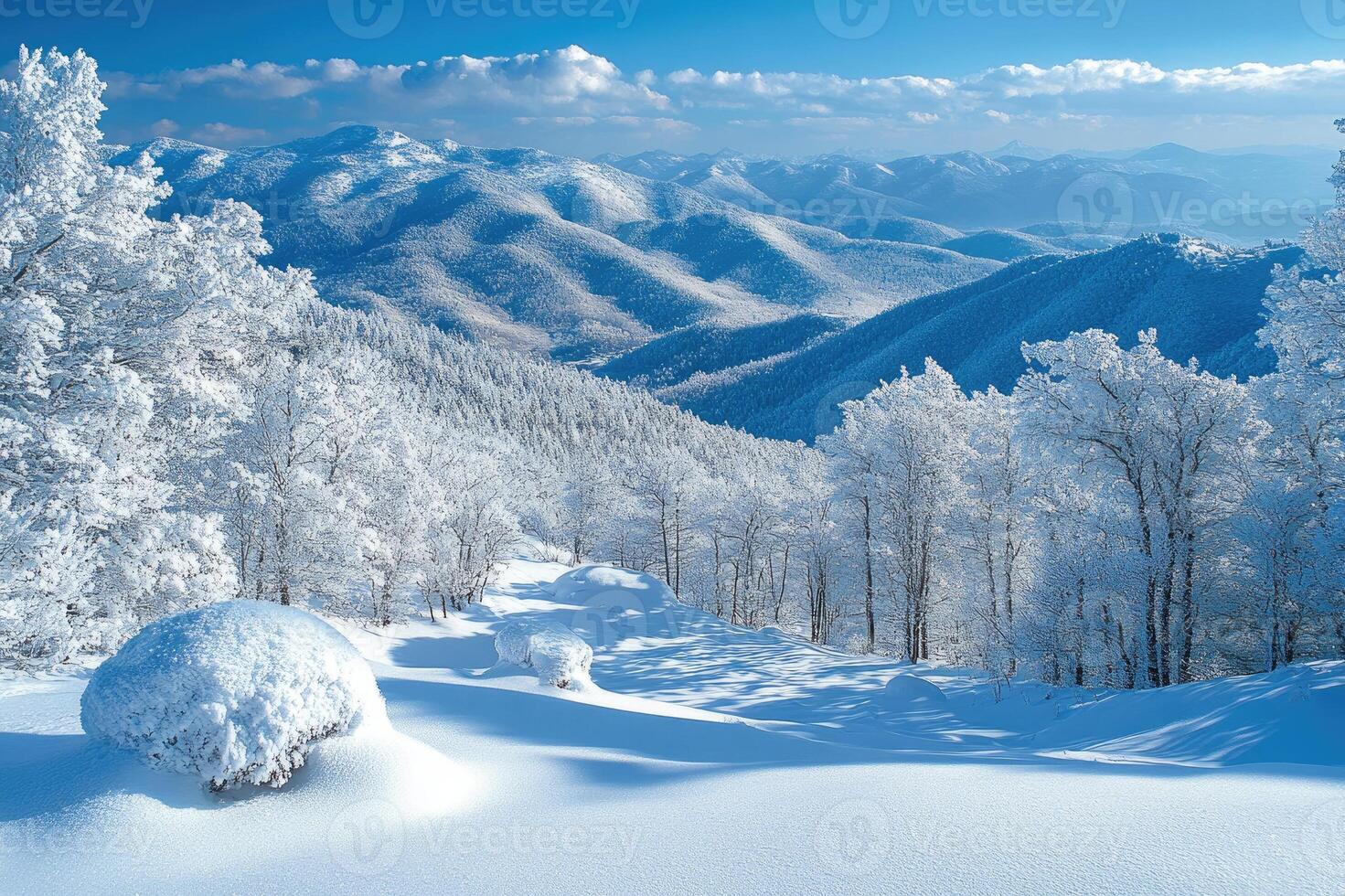Snow covered trees and bushes on mountainside overlooking scenic valley in winter photo