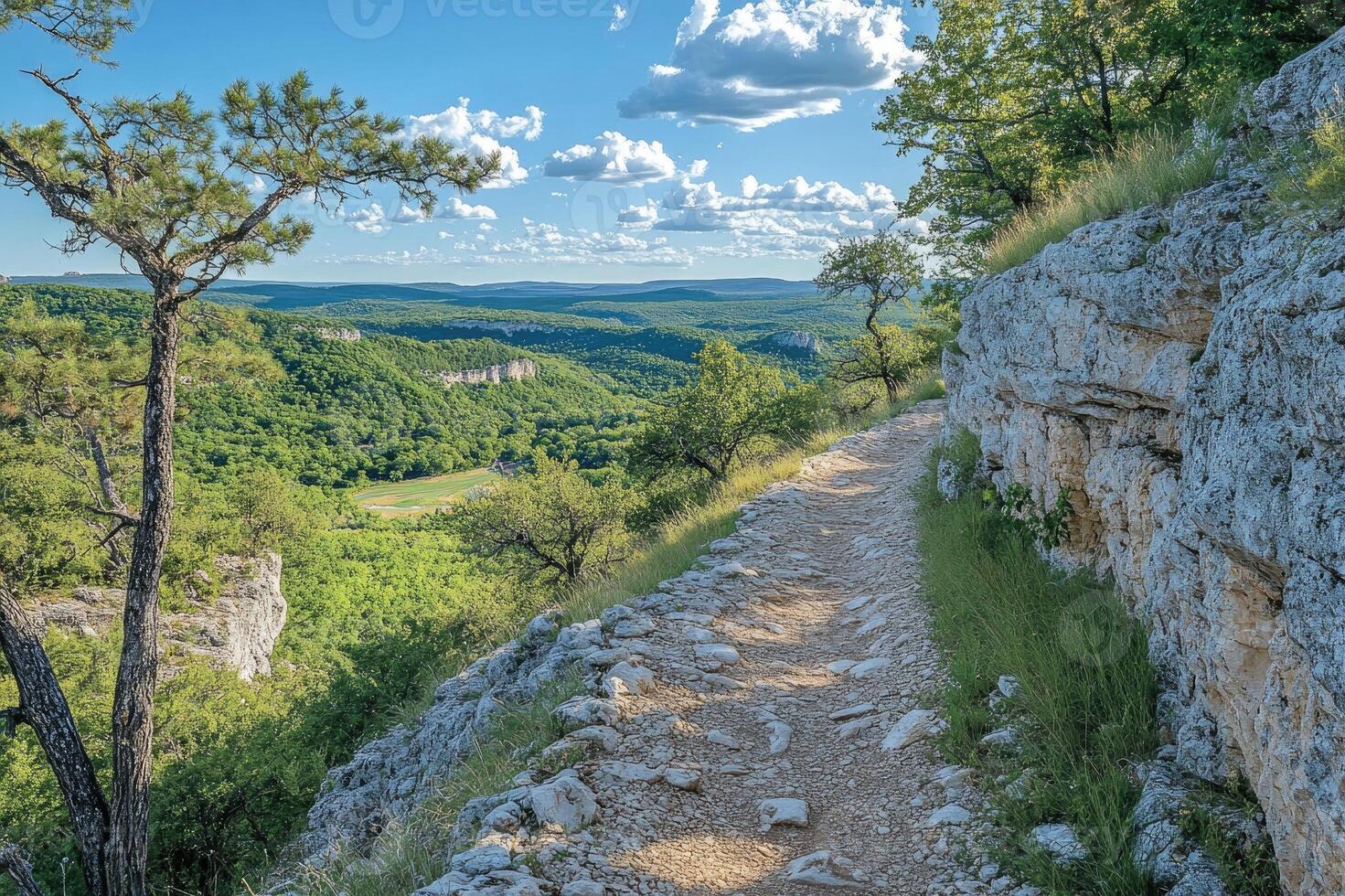 Hiking trail winding through lush green landscape under cloudy sky photo