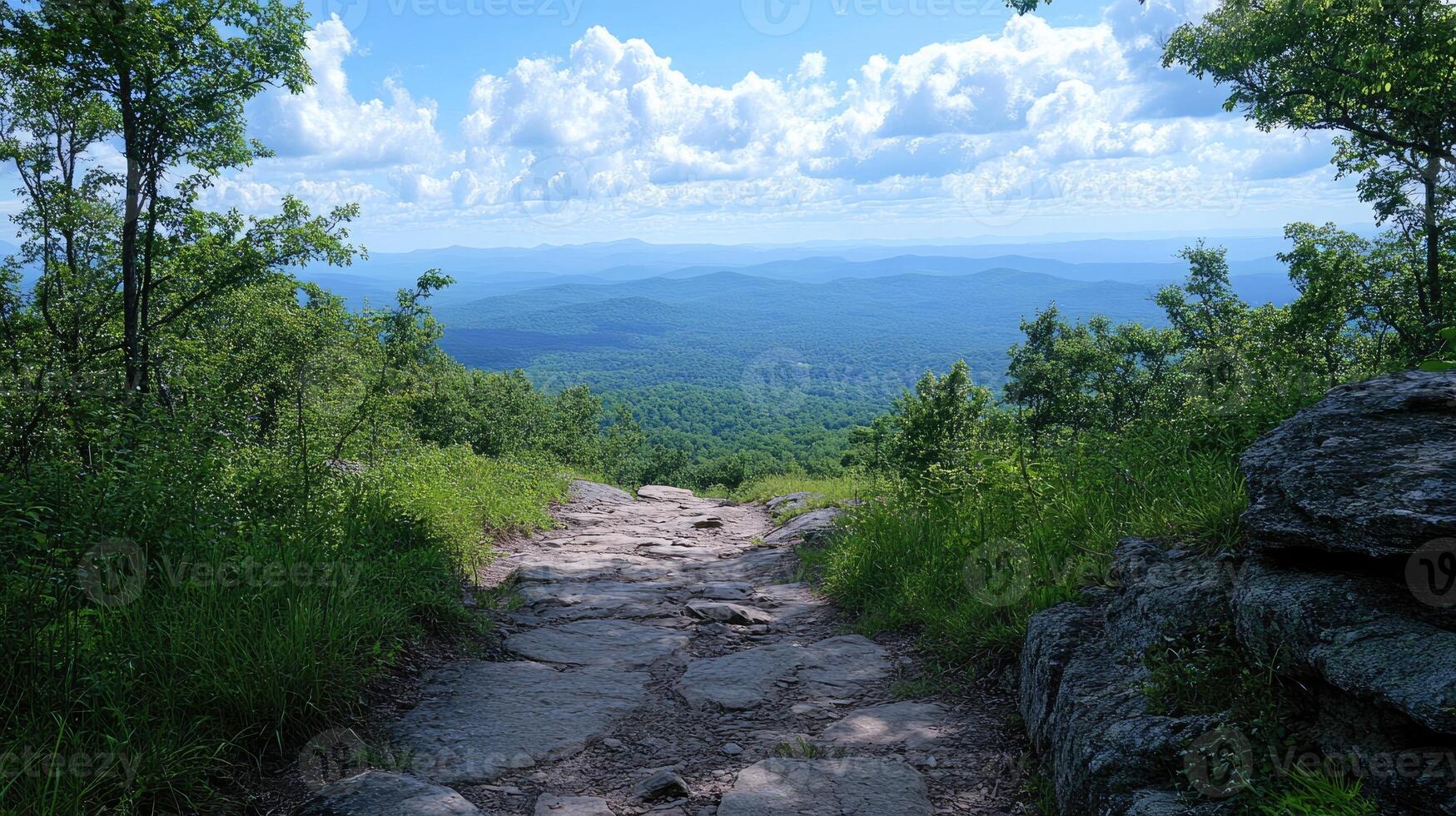 Stone path leading to scenic mountain view in summer photo