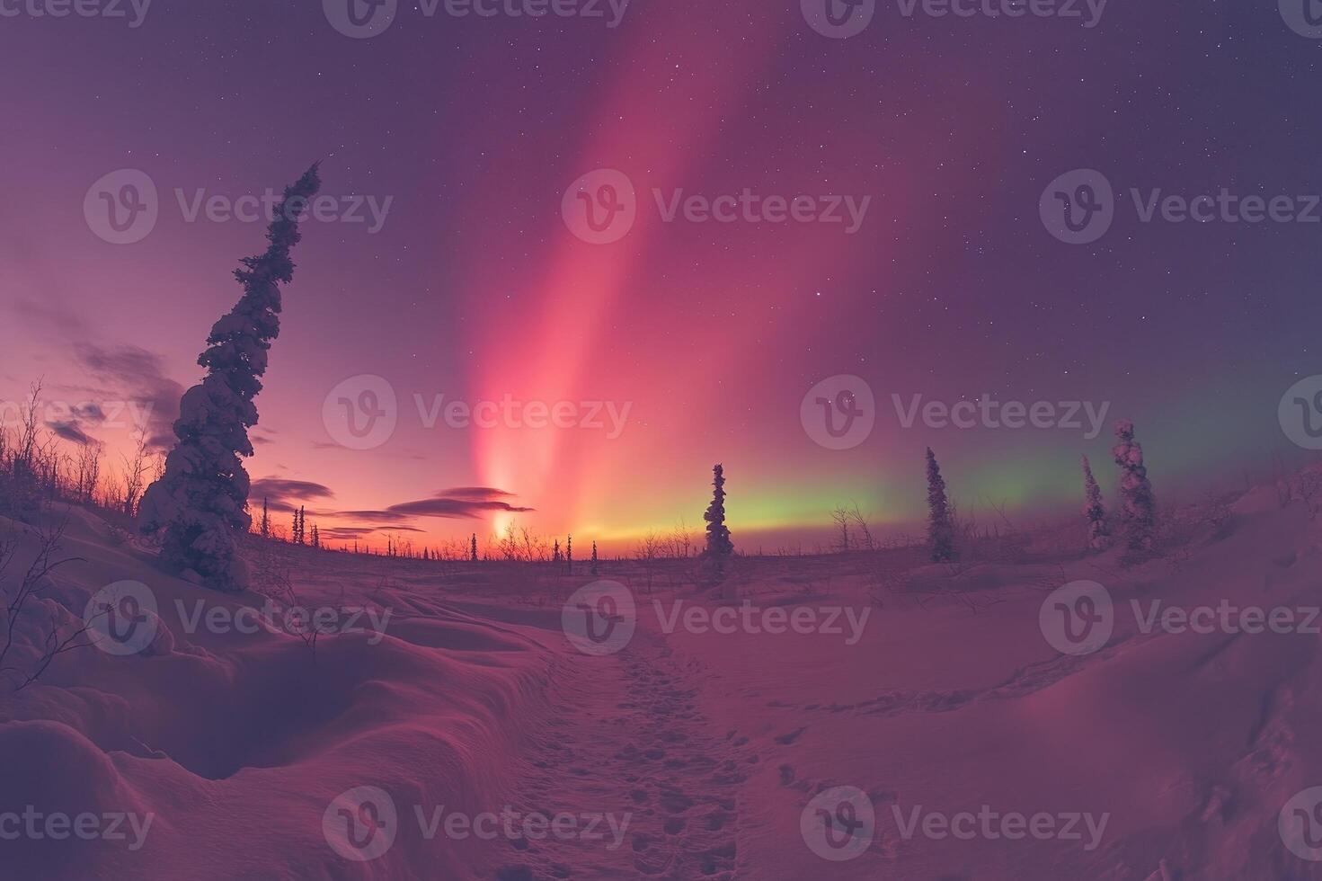 Northern lights illuminating snowy path and frozen trees at colorful sunset photo