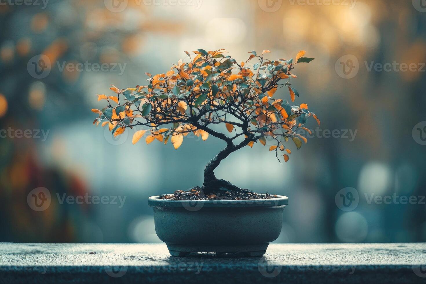 Colorful bonsai tree showing autumn colors in a ceramic pot photo