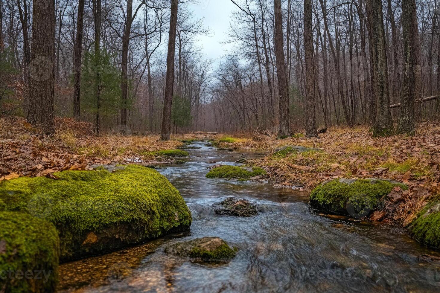Stream flowing through mossy rocks in peaceful forest photo