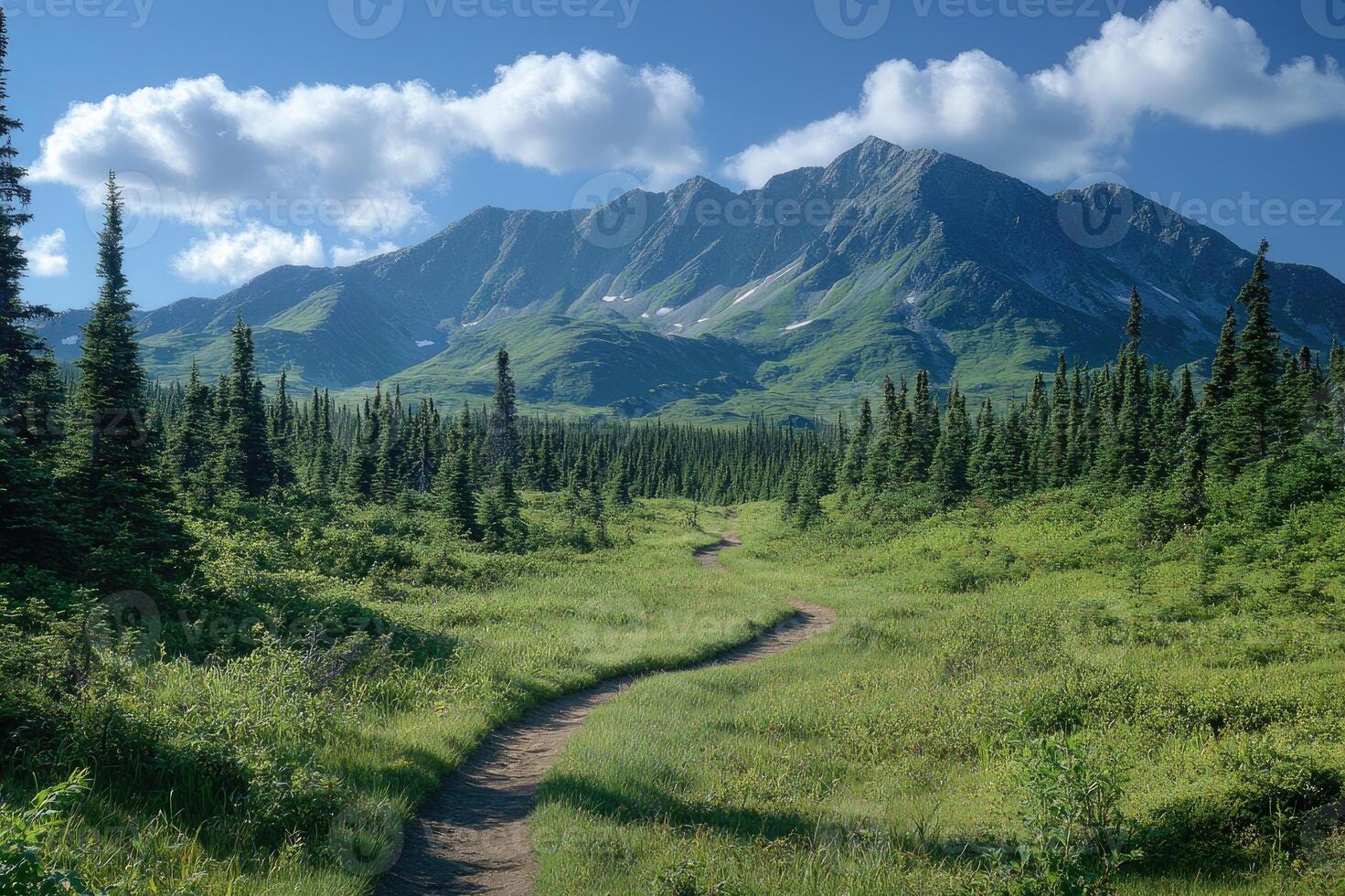 Winding path leading to majestic mountains in lush green valley photo