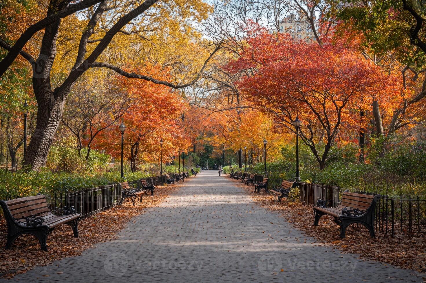 Empty benches line a paved path in a colorful autumn park photo