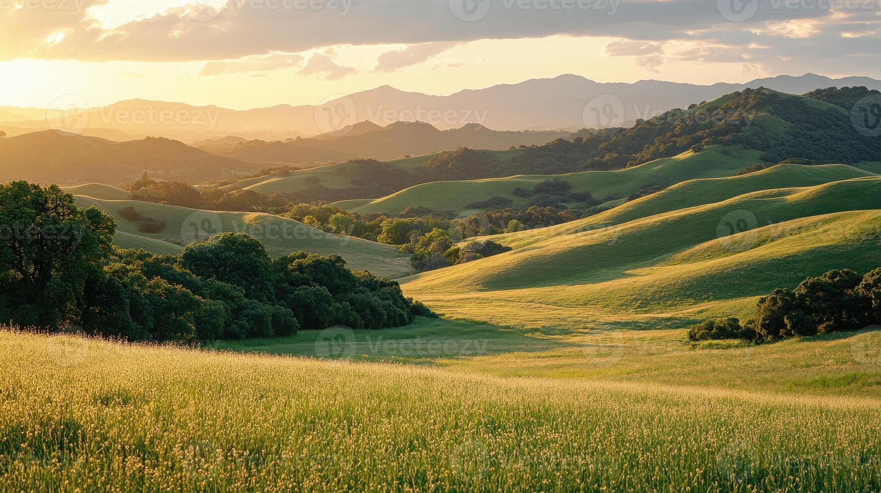 Golden sunset illuminating rolling hills and lush green grass photo