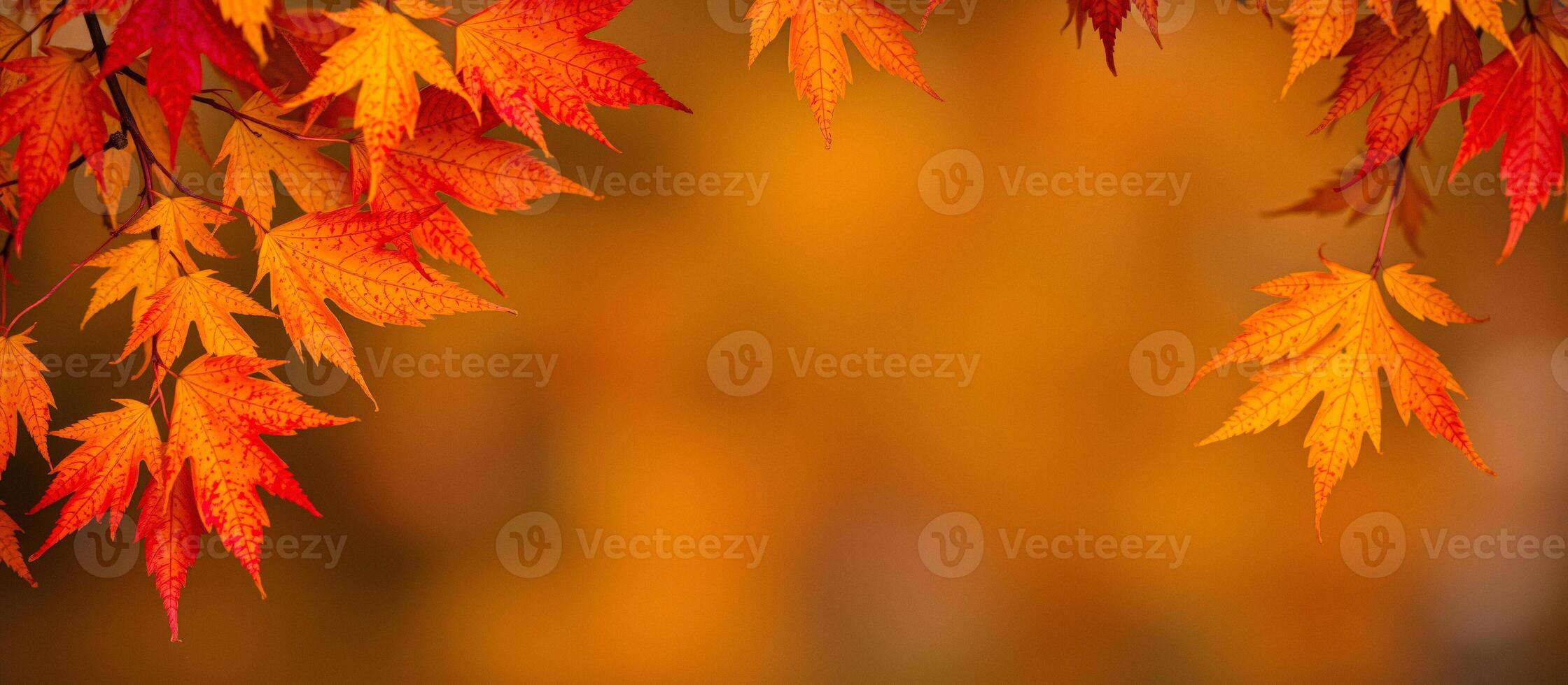 Autumn Leaves Frame photo