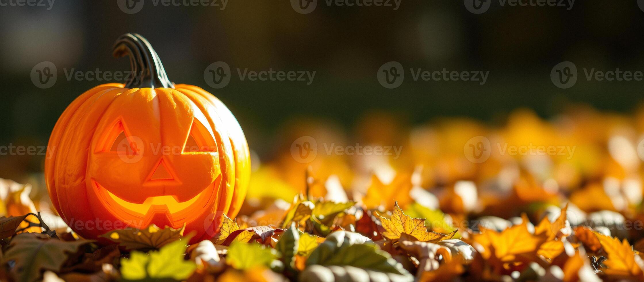Jack-o'-lantern in Fall Leaves photo