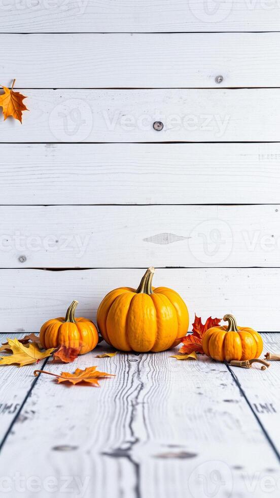 Fall Pumpkins and Leaves on White Wood Background photo