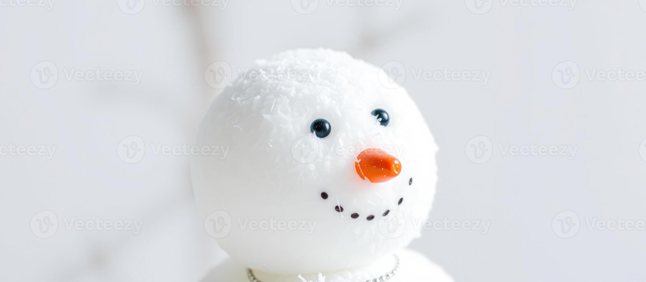 Close-up of a snowman's face photo