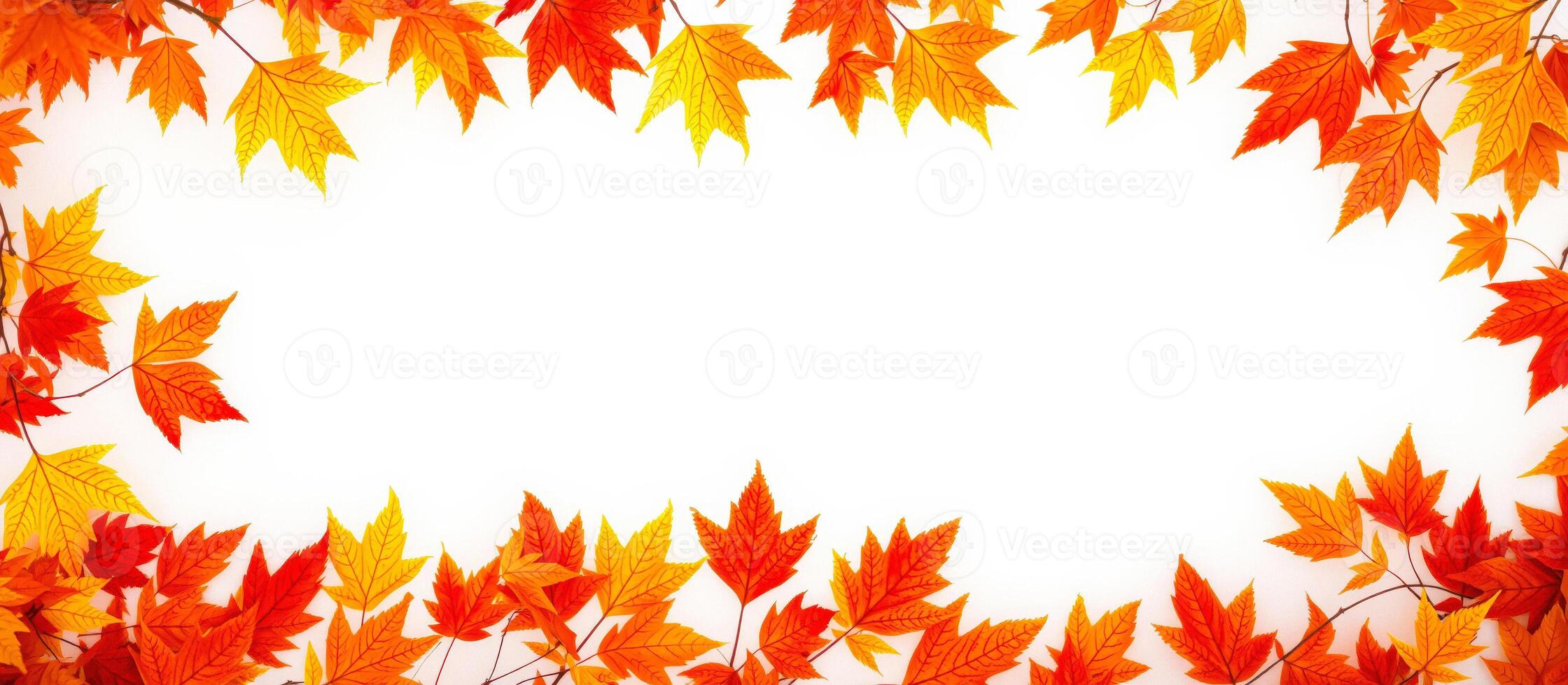 Autumn leaves frame with white background photo