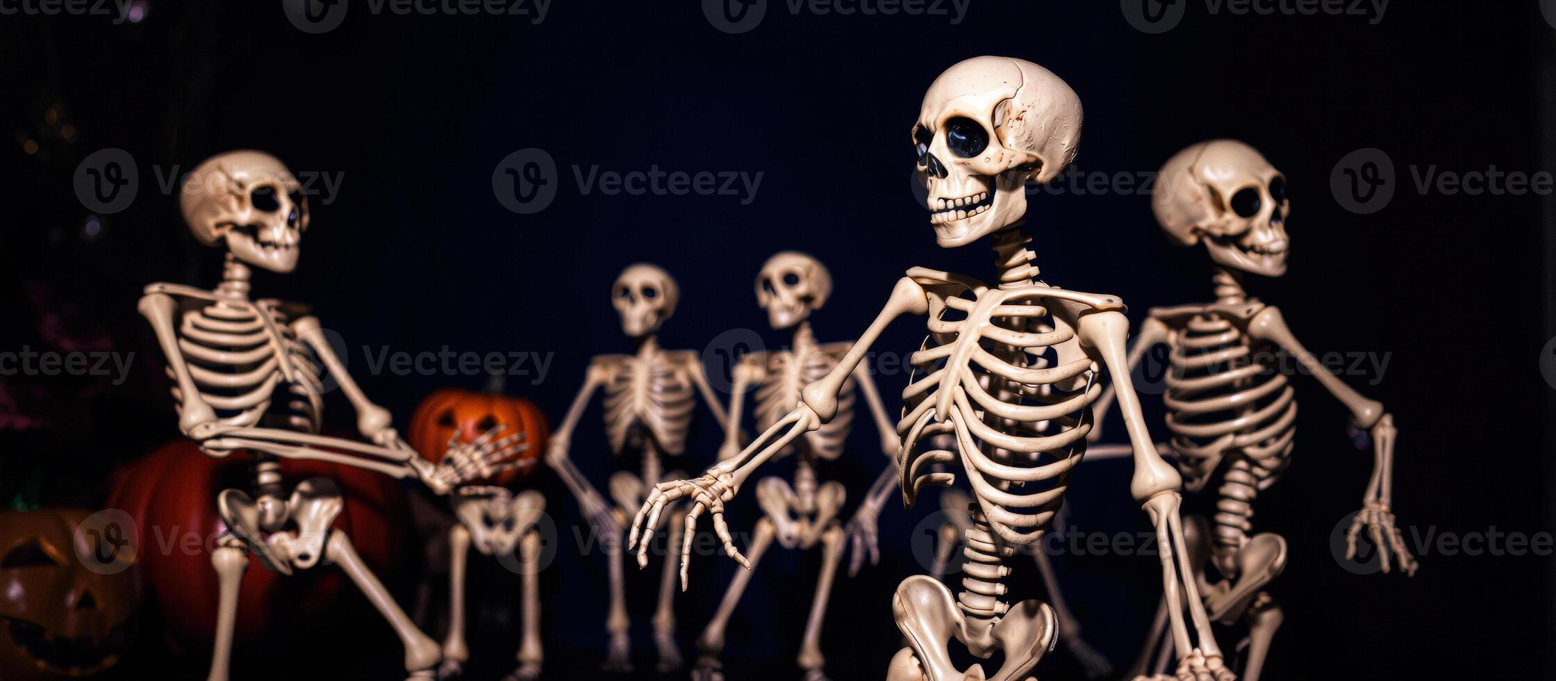 Skeletons in the Dark photo