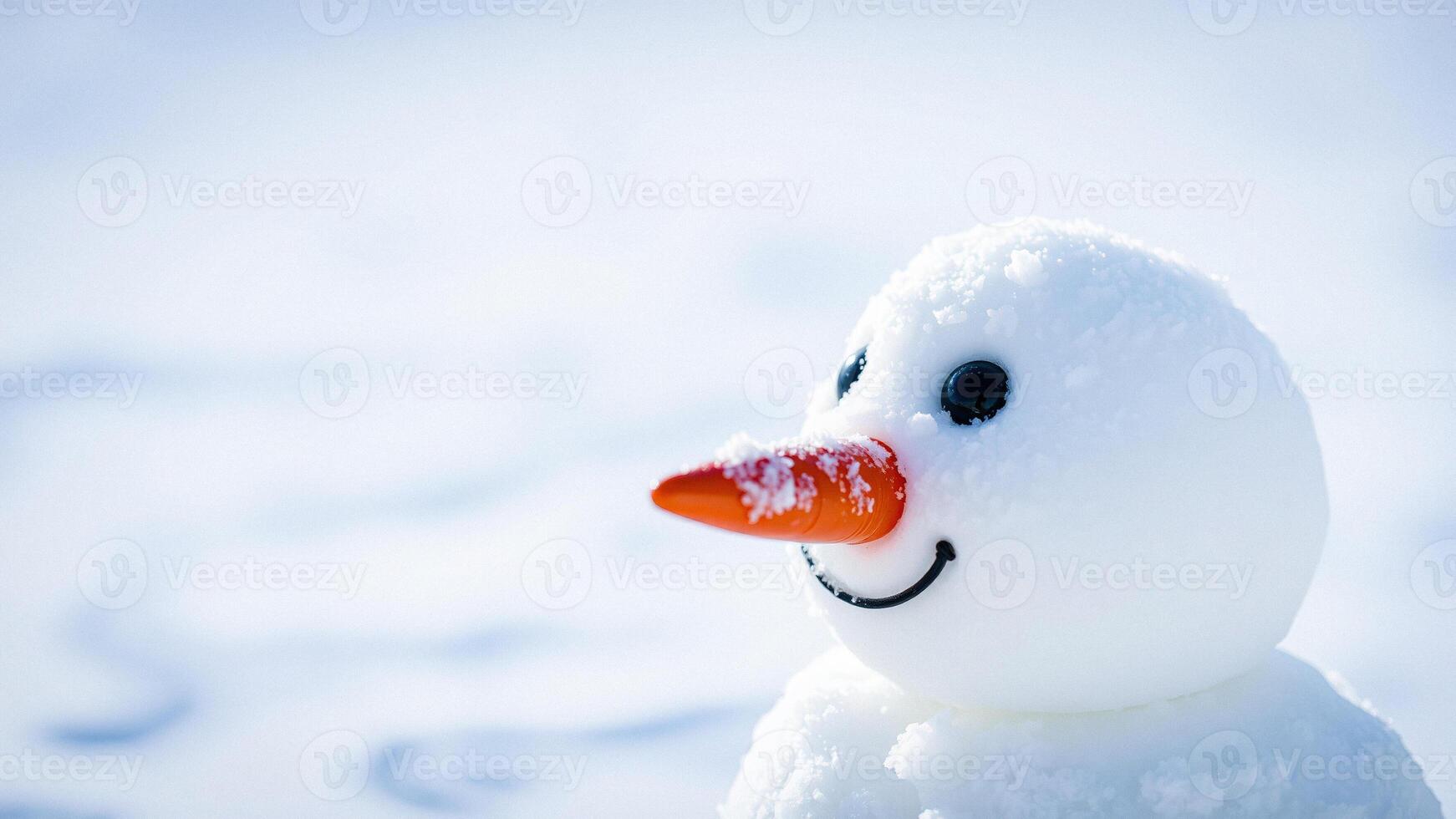 Closeup of Snowman with Carrot Nose in Snowy Field photo