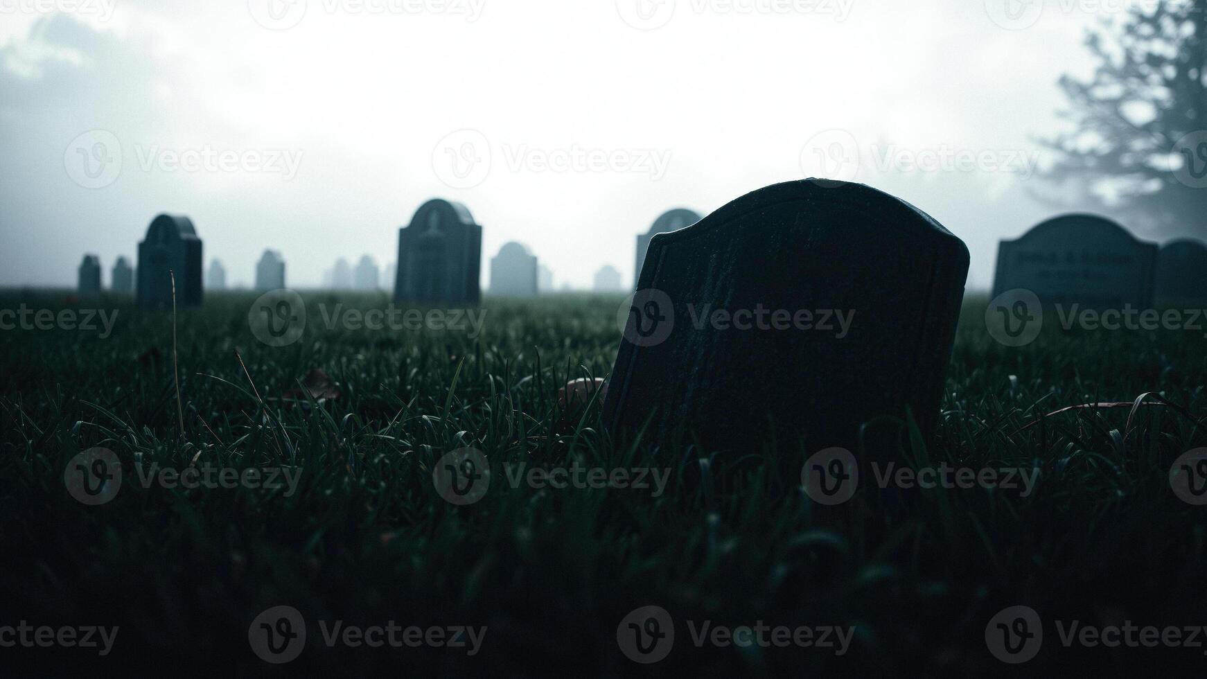 Graveyard in Fog photo
