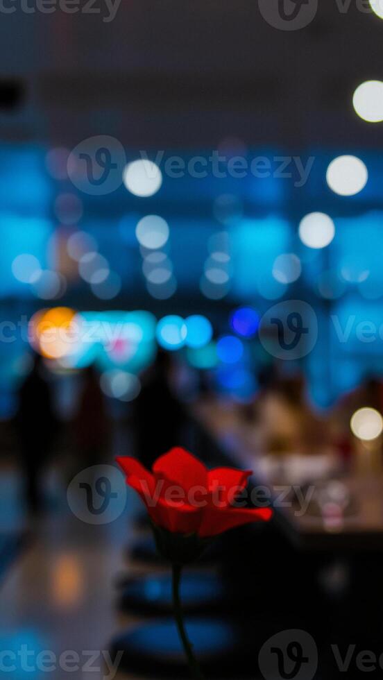Red Flower In A Blurred Background photo