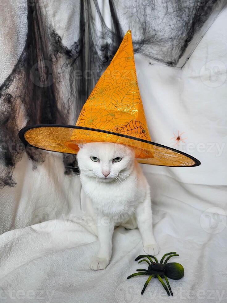 A beautiful white cat in an orange witch hat sits quietly on a white blanket. photo