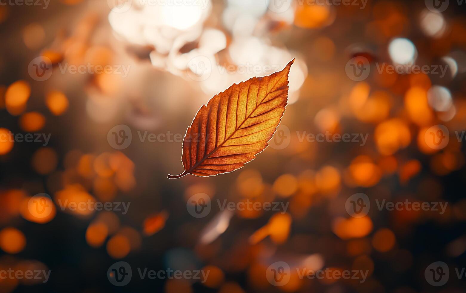 A single orange autumn leaf backlit by warm sunlight, showcasing intricate veins and texture against a blurred background of golden bokeh photo