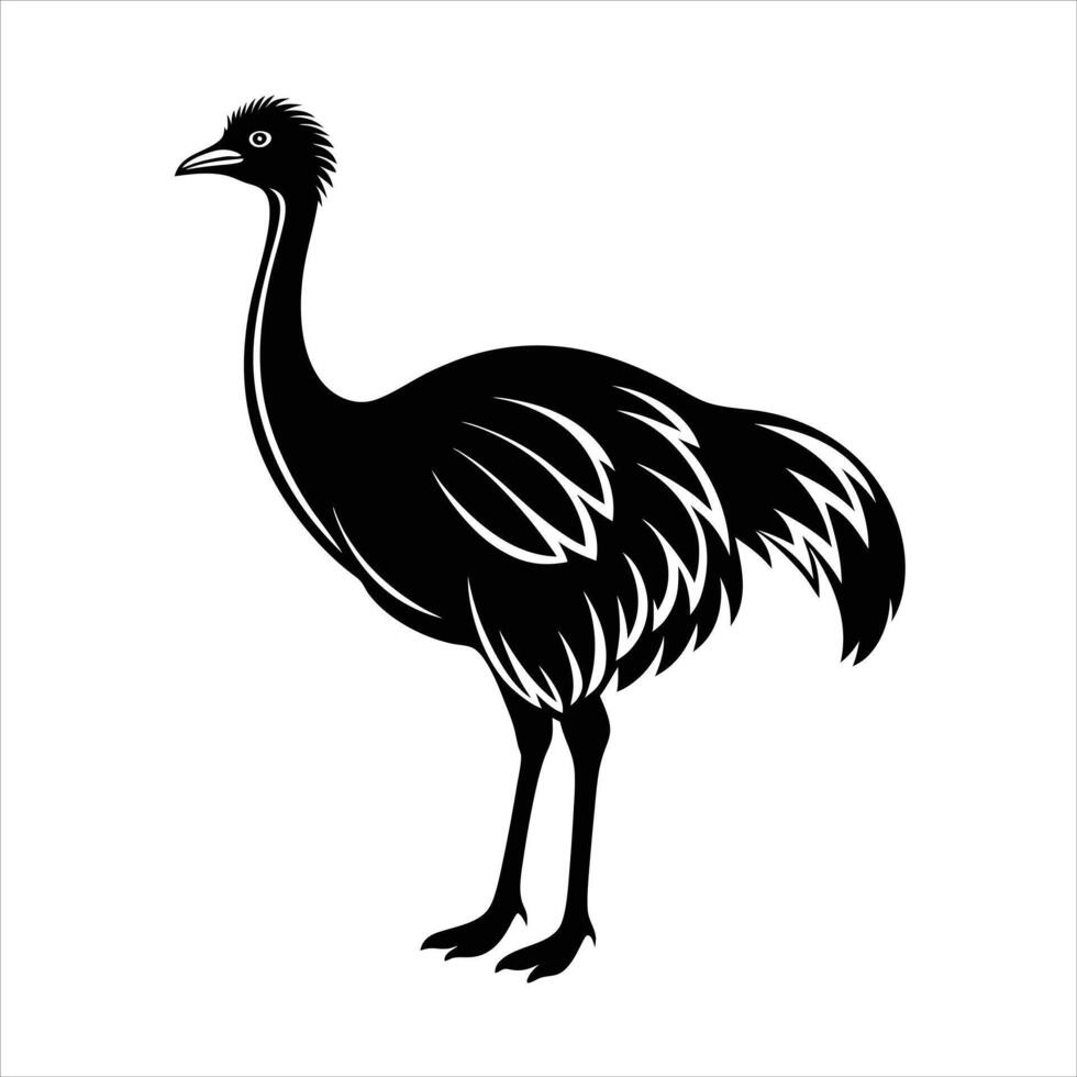 An ostrich is standing on a white background vector
